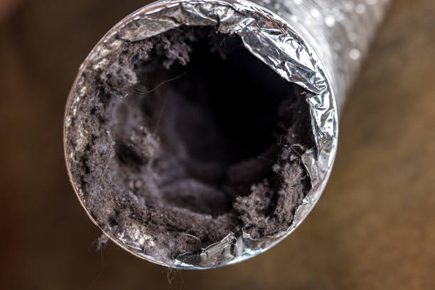Best Best Air Duct Cleaning Company  in Milan, MO