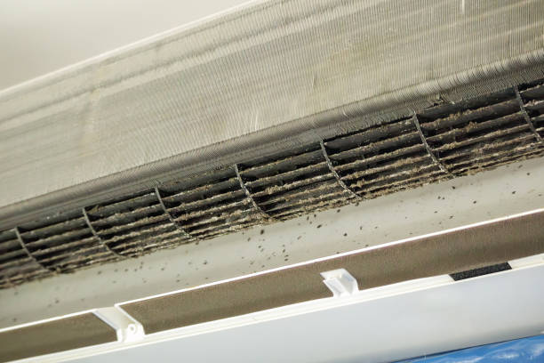 Best Air Duct Cleaning Cost  in Milan, MO