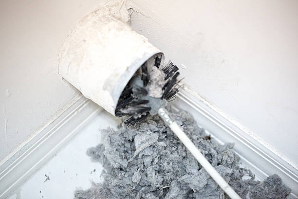Best Home Air Vent Cleaning  in Milan, MO
